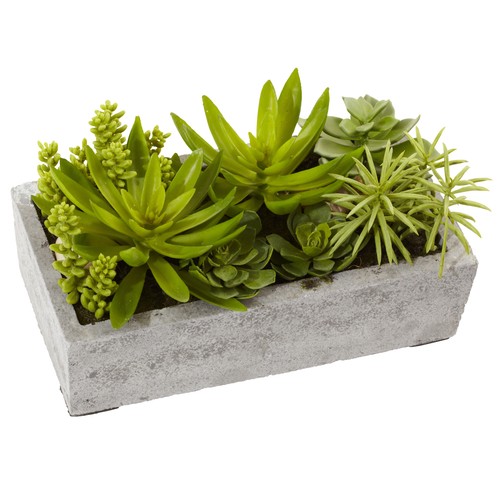 Nearly natural succulent - nearly,